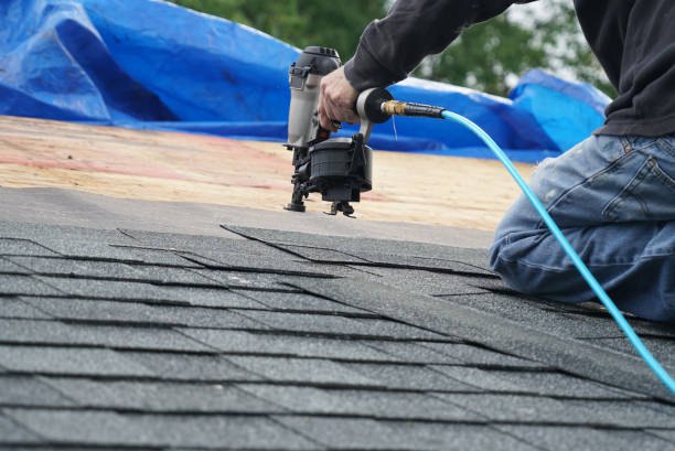 Best Roof Gutter Cleaning  in New Haven, MO
